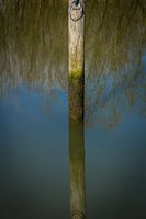 Hoe diep is het water in de Biesbosch
