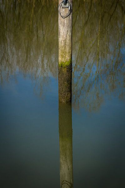 Hoe diep is het water in de Biesbosch par Petra Brouwer