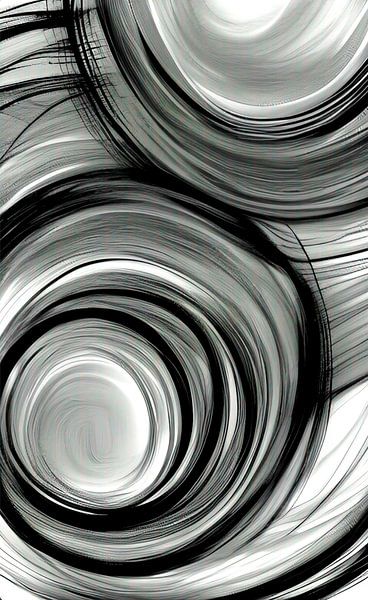 Zwart witte circels van Niek Traas