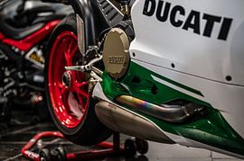 Ducati 1299 Panigale R Edition finale sur Bas Fransen