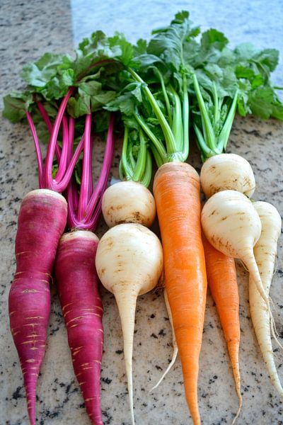 Colourful radishes by Poster Art Shop