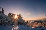 Bomen en winterlandschap van Fotos by Jan Wehnert thumbnail