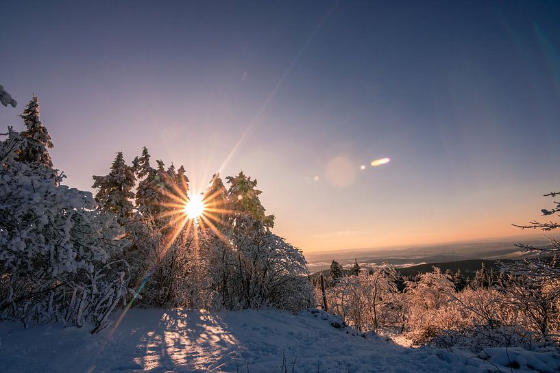 Bomen en winterlandschap van Fotos by Jan Wehnert