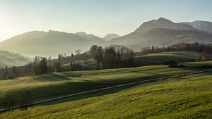 Ombres du matin sur Jessica Van Wynsberge