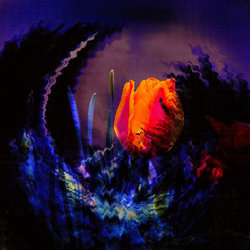 MODERNE KUNST : DE EENZAME TULP