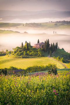 A Tuscan Morning by Edwin Mooijaart
