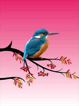 152. IJsvogel