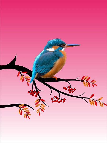 152. IJsvogel van Domstad Rudie