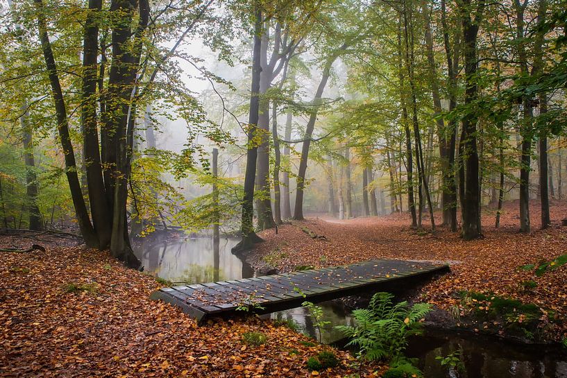Das Bächlein Leuvenum im Nebel und in den Herbstfarben! von Peter Haastrecht, van