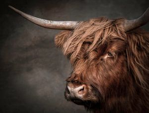 Porträt eines schottischen Highlanders mit gemaltem Hintergrund