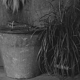Emmer met plant en toef in zwartwit van Anja Volder