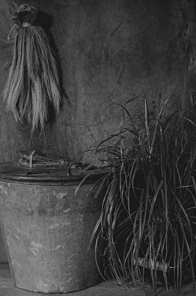 Bucket with plant and tuft in black and white by Anja Volder