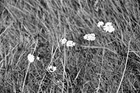 Die Natur entdecken in einem Waldgebiet im Emsland, Niedersachsen, Deutschland