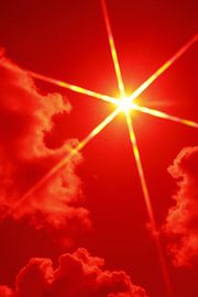 Rote Sternsonne von Arie van Vugt