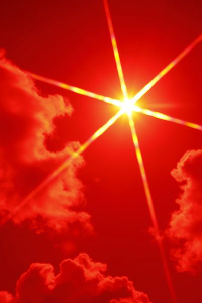 Rote Sternsonne von Arie van Vugt