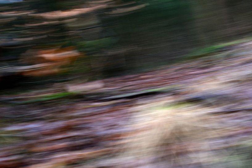 Beweging in de natuur van Gerard de Zwaan