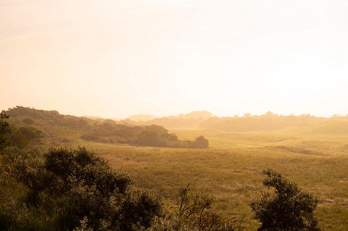Zonsopgang met mist in de duinen tijdens een zonnige zomerochtend
