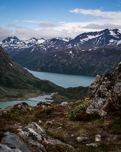 Noorwegen | Rivier | Hiking | Jotunheim
