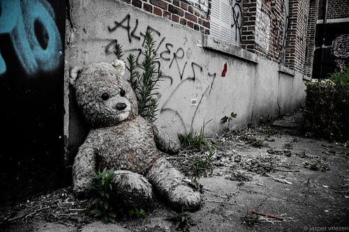 abandoned bear