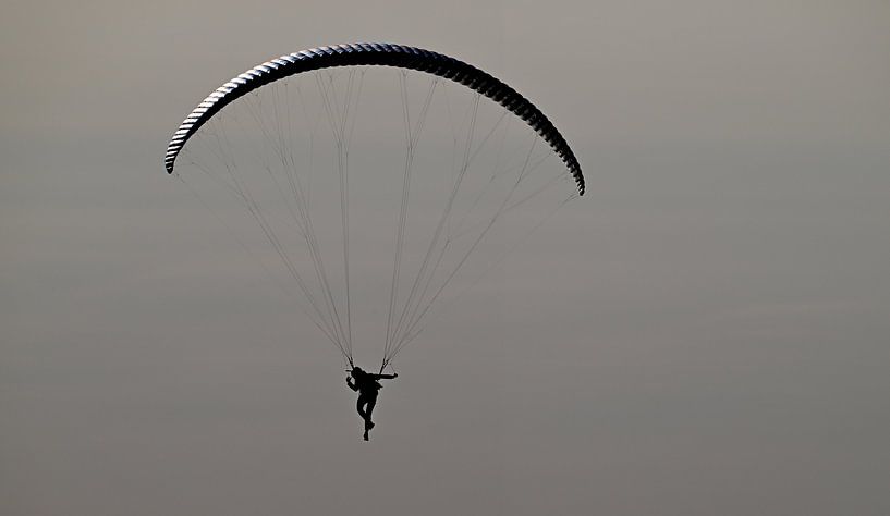 Fliegen von Petra De Jonge