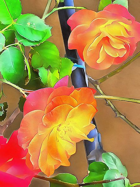 Joseph's Coat Rose by Dorothy Berry-Lound