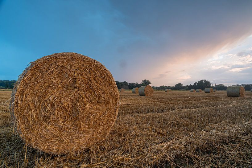 Strohballen im Abendlicht von Marc-Sven Kirsch