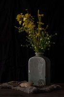 Bloemen in een vaas (stilleven)