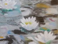 Waterlelies (wit) in een poel van kleur (waterlilies, Lelies)