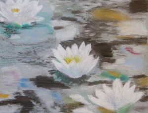 Waterlelies (wit) in een poel van kleur (waterlilies, Lelies)