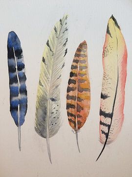 Feathers von Esther  van den Dool