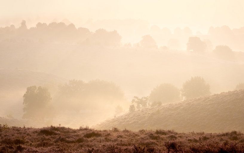 Sunrise Posbank by Jeroen Linnenkamp