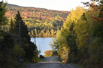 The lake route in autumn by Claude Laprise