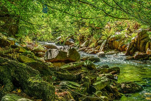 Natur und Landschaft im Erzgebirge