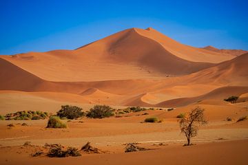 Sossusvlei Namibia by Antwan Janssen