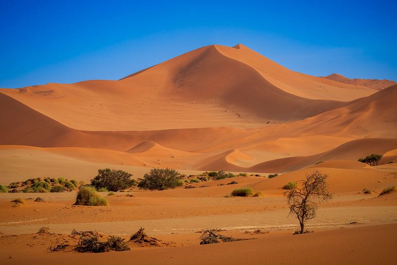 Sossusvlei Namibia von Antwan Janssen