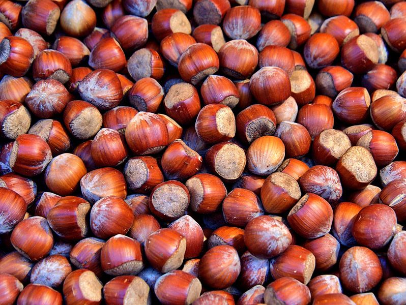 Hazelnoten van Edgar Schermaul