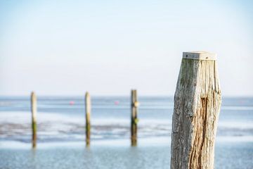 Mooring posts in the tidal harbour of Schiermonnikoog by Ron van der Stappen