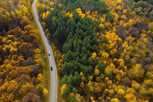 Moments lumineux de l'automne