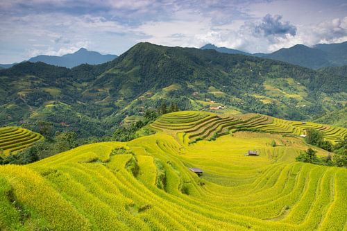 De Spectaculaire Rijstvelden van Hoang Su Phì, Vietnam
