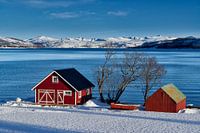 Winterlandschaft mit typischen rotem Hause an der schneebedeckten Kueste