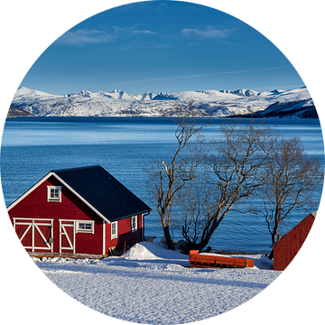 Winterlandschap met typisch rood huis aan de besneeuwde kustlijn van Jürgen Ritterbach