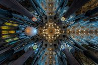 Sagrada Familia - Barcelona van Roy Poots thumbnail