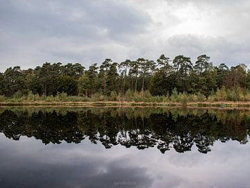 reflectie in water van Andrik van der Molen