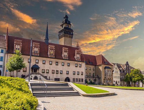 Zicht op de skyline van Zeitz in Saksen-Anhalt met het oude stadhuis