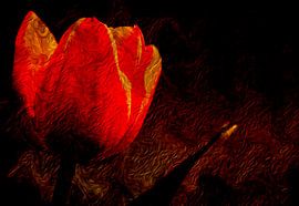 ABSTRAKT : FLORA von Photoart-Naegele