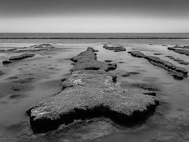 Uferinsel (schwarz-weiss)