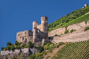 Ruine Ehrenfels bei Rüdesheim im oberen Mittelrheintal sur Christian Müringer