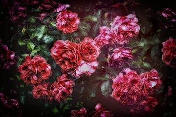 Romantische rode rozen - Soft Vintage van marlika art