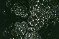 Disco Caleidoscoop - Breed