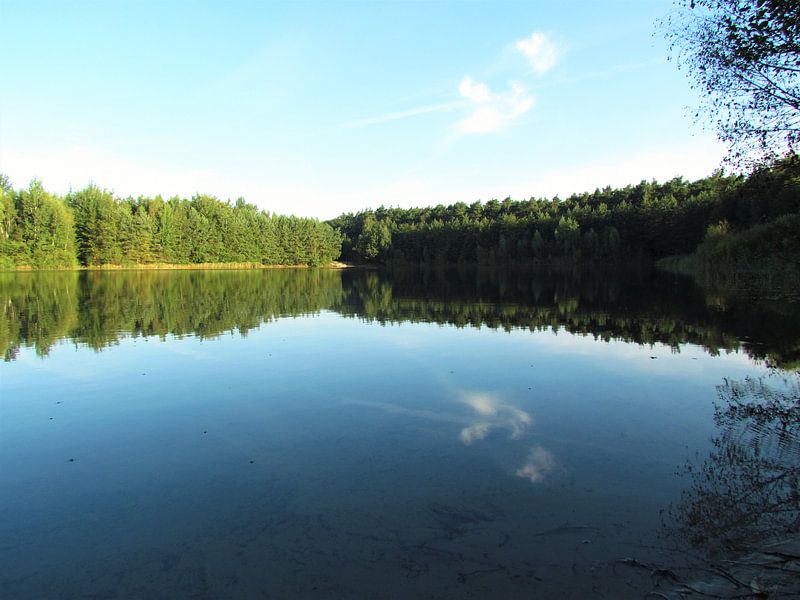 FOREST LAKE by Ivanovic Arndts